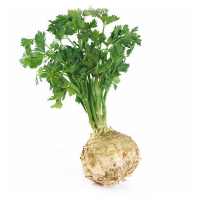 No image available