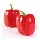 Bio Paprika Rood