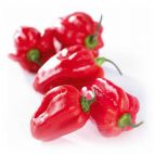 Bio Surin. Peper Rood