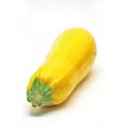 Bio Courgette geel