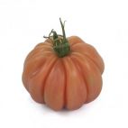 Bio Coeur de Boeuf tomaat