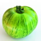 Bio Green Zebra tomaat